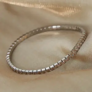 E048-Champagne Zircon Steel Bracelet