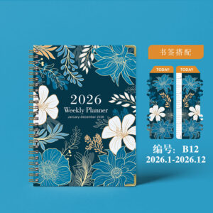 January 2026 - december 2026 / B12