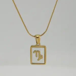 Capricorn White Shell