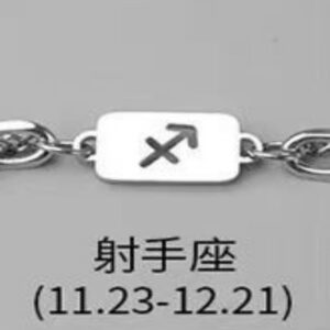 Sagittarius necklace bracelet combination