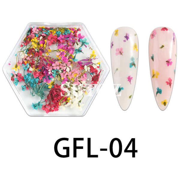 Wholesale Nail Art Dried Flower Ornaments