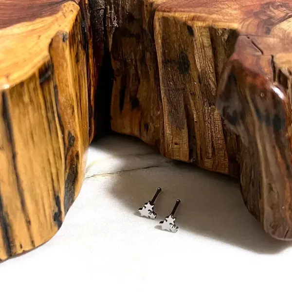 Stainless Steel Nose Nail Nose Ring Nail Piercing Jewelry Fashion Men's And Women's Small Nose Nail Suit Direct Sales Nose Pin