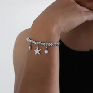 E406-Steel Bracelet-24cm