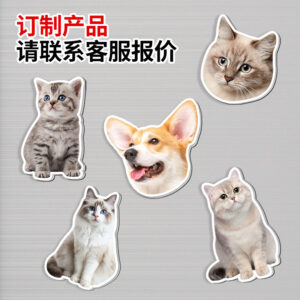 Customized refrigerator