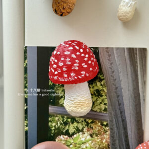 Red umbrella mushroom