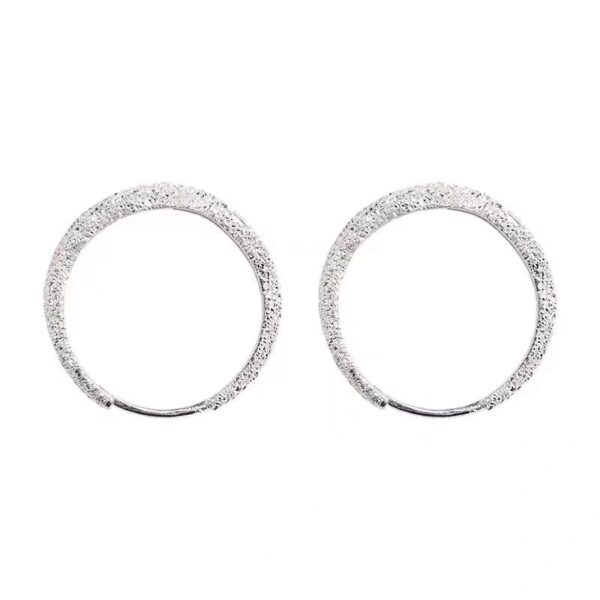 Wholesale Sparkling Earrings Women 2024 New Explosions Ear Buckle Niche Design Ear Ring Frosted Earrings