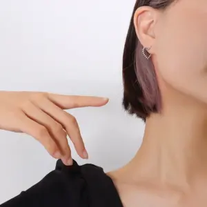 F524-A Pair of Steel Earrings