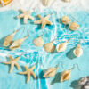 Wholesale Cross-Border Bohemian Beach Style Starfish Shell Acrylic Earrings Summer Ocean Series Earrings for Women