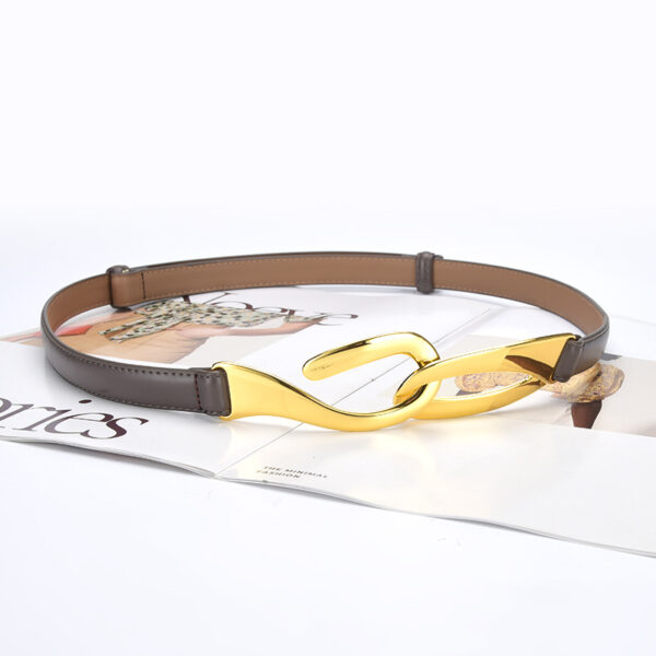 oly-ae986de018d9aebb33008335ac5a2ce9 Wholesale Fashion Women's Belt Decorative Hook Buckle Korean Style All-match Belt with ess Punch-free Belt