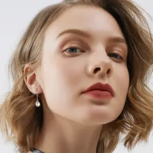 Wholesale 1 Pair Modern Style Classic Style Geometric Water Droplets Plating Inlay 304 Stainless Steel Zircon Drop Earrings