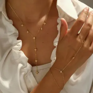 Wholesale 18K Gold Plated 304 Stainless Steel Vacuum Electroplating (In Furnace) Zircon Star Electroplated Jewelry Set For Women