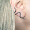 Wholesale Creative snake-wrapped earrings animal earrings