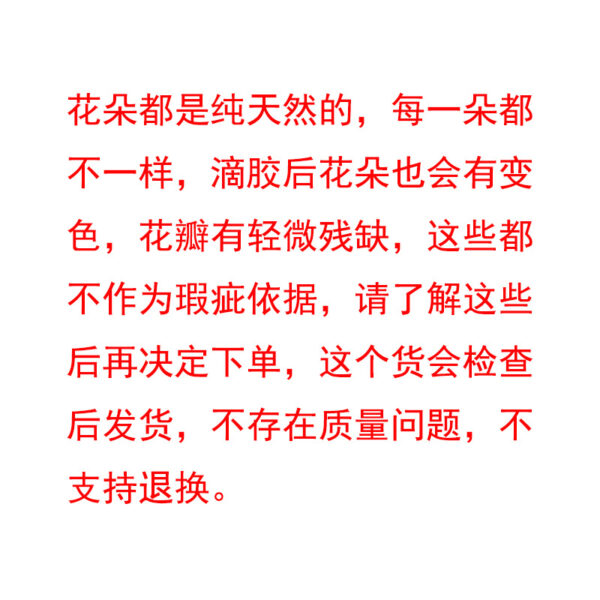 Wholesale Bohemian natural dried flower geometric polygon butterfly necklace epoxy pastoral style small floral pendant