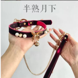 Wb10 (separate collar without leash)