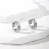 Wholesale 1 Pair Simple Style Color Block Inlay 201 Stainless Steel Zircon Earrings