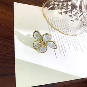 19# Ring-Transparent