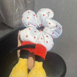 Mickey red dot