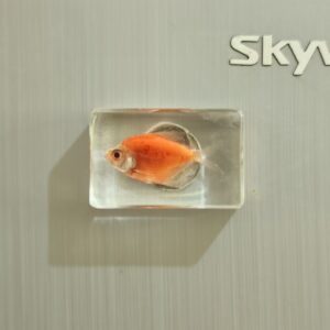 Red skirt fish 4.4*2.9cm