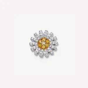 Little Daisy Accessories