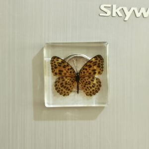 Cat butterfly 4.8*4.8cm