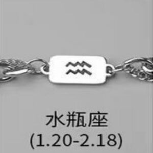Aquarius necklace bracelet combination