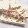 1 Piece Casual Elegant Lady Starfish Steel 18K Gold Plated Earrings