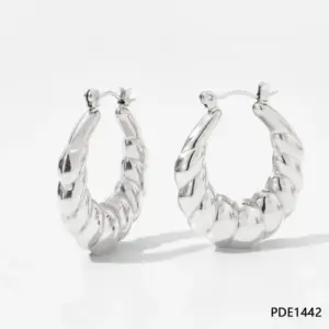 Silver / Earrings