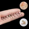 1 Piece Copper Zircon Ear Cartilage Rings & Studs Star Eye Flower Waterproof Non Tarnish Surgical Steel