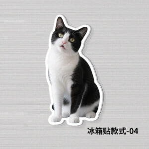 Refrigerator magnet cat style-04