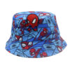Wholesale Cross-Border New Spider Print Fisherman Hat Cartoon Anime Peripheral Sun Hat Foreign Trade Hot-Selling Versatile Basin Hat Trend
