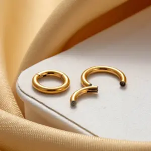 Wholesale 316 Stainless Steel Round IG Style Hoop Earrings For Women's