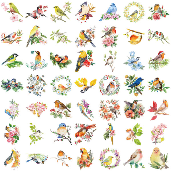 Wholesale 50 sheets transparent ins watercolor bird sticker bag waterproof transparent PET hand account material decorative guitar notebook batch