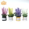 Wholesale 1:12 doll house dollhouse mini model handmade 8 points ob11 plant iron basin lavender flower arrangement fleshy