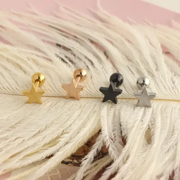 Wholesale 1 Piece Simple Style Star Stainless Steel Ear Studs