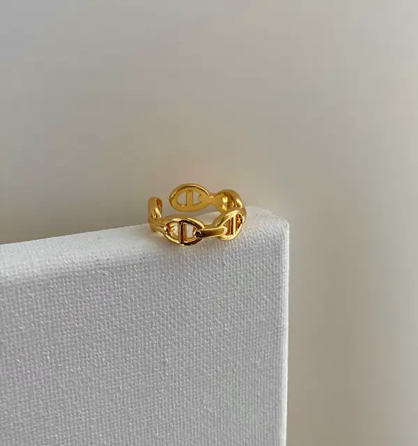 304 Stainless Steel Solid Color PVD Coated 18K Real Gold Plated Simple Style Classic Style Waterproof Non Tarnish Hollow Out Open Rings