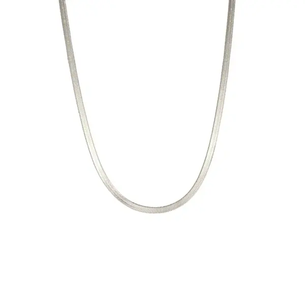 Stainless Steel Snake Flat Chain Snake Chain Female Male Simple Gold Necklace Popular Snake Bone Stainless Steel Plain Chain Necklace