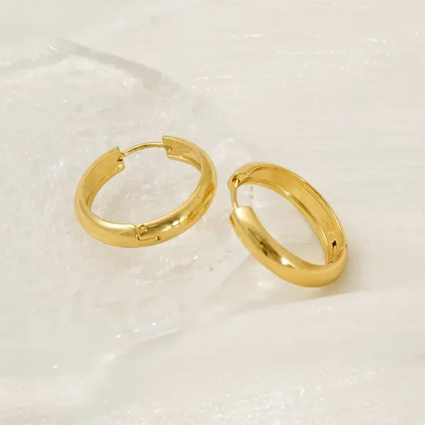 Wholesale 1 Pair Vacation Classic Style Round 304 Stainless Steel 18K Gold Plated Earrings