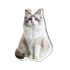 Wholesale Acrylic Pet Refrigerator Sticker Brand Custom Ornaments Pet Cat Dog Expression Shake a Shake Music to Figure