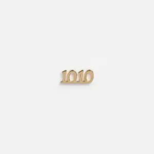 1010