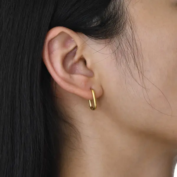 Wholesale PVD Coated Real Gold Plated Geometric 201 Stainless Steel Casual Basic Modern Style Waterproof Non Tarnish Earrings