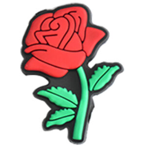 16 roses