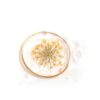 Wholesale DIY Jewelry Accessories Material Retro Glue Transparent Immortal Flower Pearl Earrings Earrings Pendant Stars
