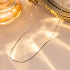 0.88mm-S Chain 40+5cm-steel Color / Individually Packaged