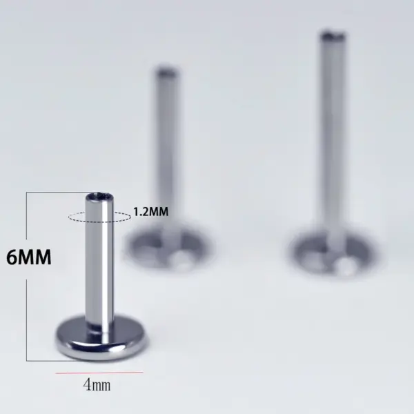 1 Piece Titanium Alloy Simple Style Lip Rings Solid Color Ion Plating (IP) Lip Rings Ear Cartilage Rings & Studs