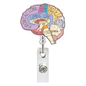 Brain