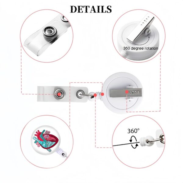 oly-bff562a7d8a44cfeb9db73551d844c49 Wholesale Heart, brain, gastrointestinal tract, human organs - easy-pull buckle, telescopic buckle