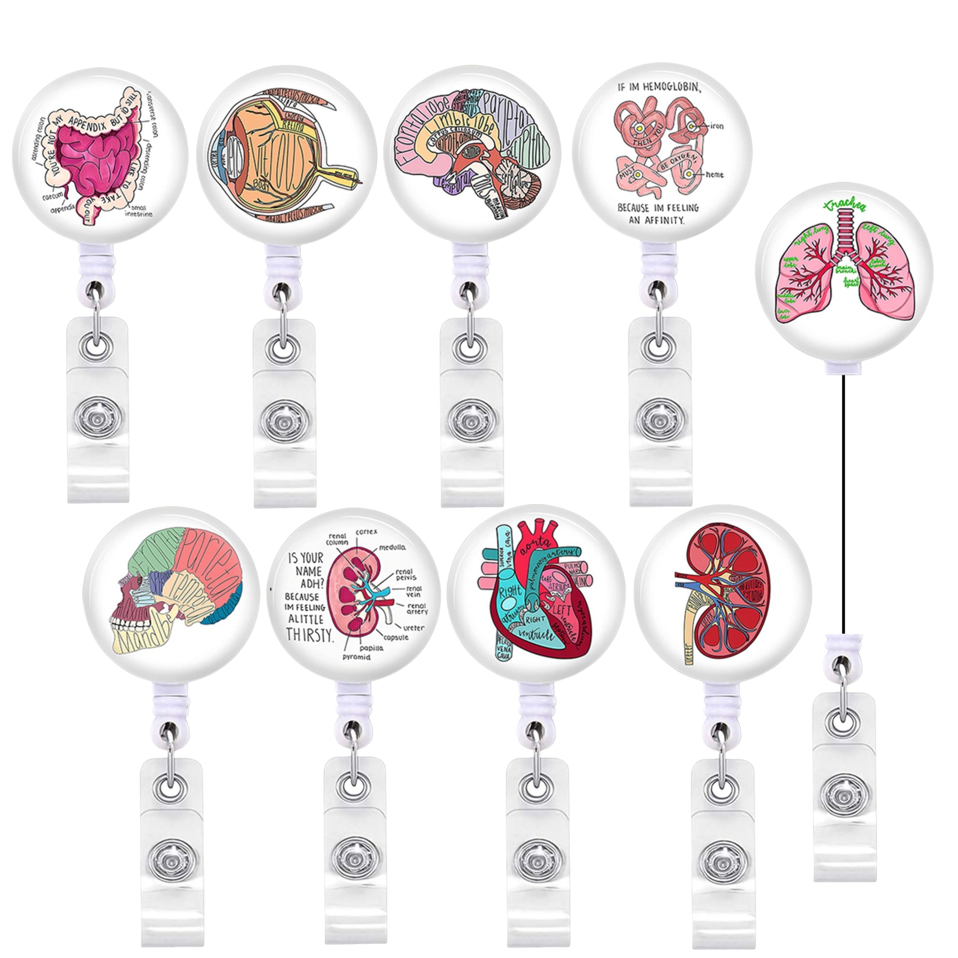 Wholesale Heart, brain, gastrointestinal tract, human organs - easy-pull buckle, telescopic buckle
