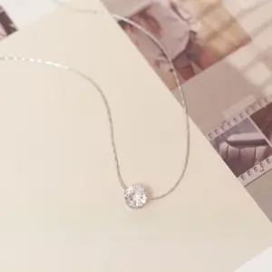 O203 Six-Claw Single Diamond Necklace Steel Color