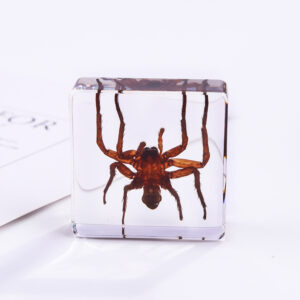 Hairy Spider 6 Beats / 38mm*38mm*14mm