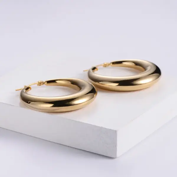 Simple Style Geometric Plating Stainless Steel No Inlaid 18K Gold Plated Earrings